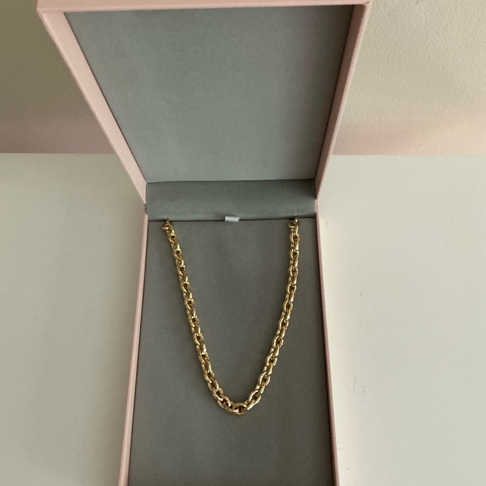 Annabel Arum Farrier Thick Gold Chain Necklace 18” NWB - Picture 5 of 6
